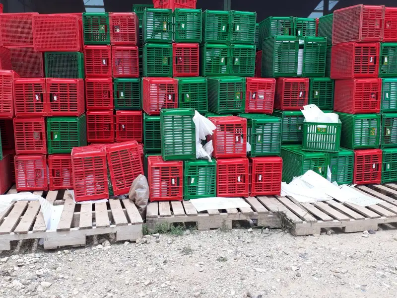 西安周边团队出游旅游线路怎么选？陕西合作旅行社专业服务为你梳理思路